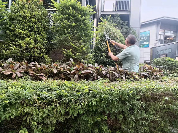 保洁服务