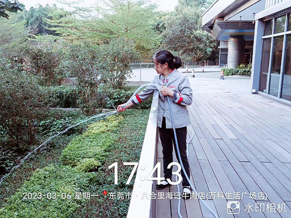 保洁服务