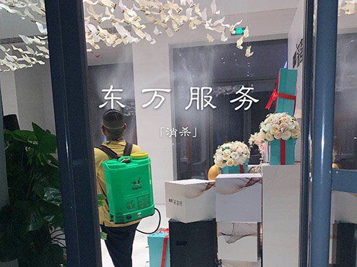 蟑螂消杀服务