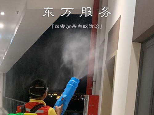 臭虫消杀服务