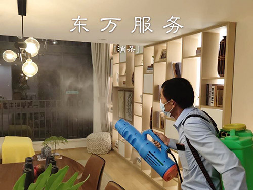 蟑螂消杀服务